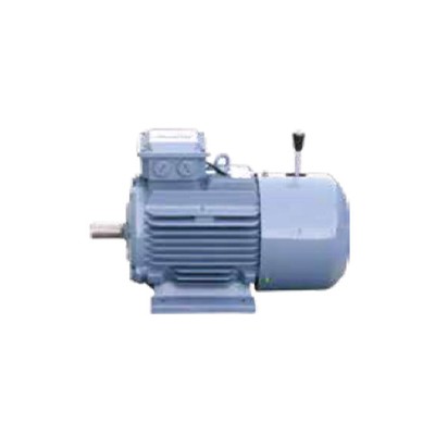 QAEJ Series Cast Iron Motors